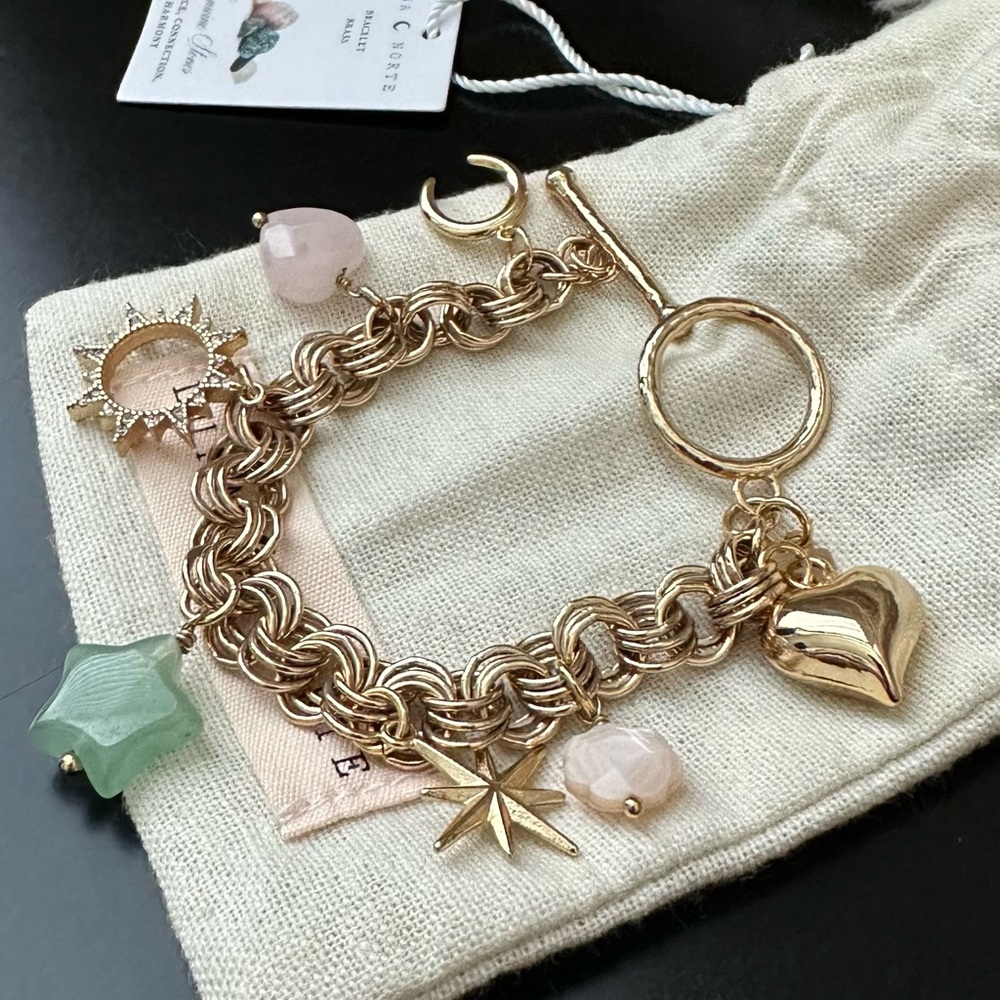 Luna Norte Charm Bracelet New